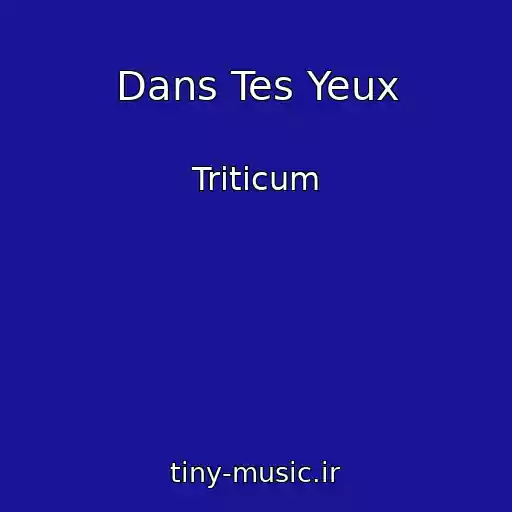 کاور آهنگ Dans Tes Yeux از Triticum