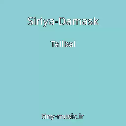 کاور آهنگ Siriya-Damask از Talibal