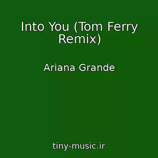 کاور آهنگ Into You (Tom Ferry Remix) از Ariana Grande