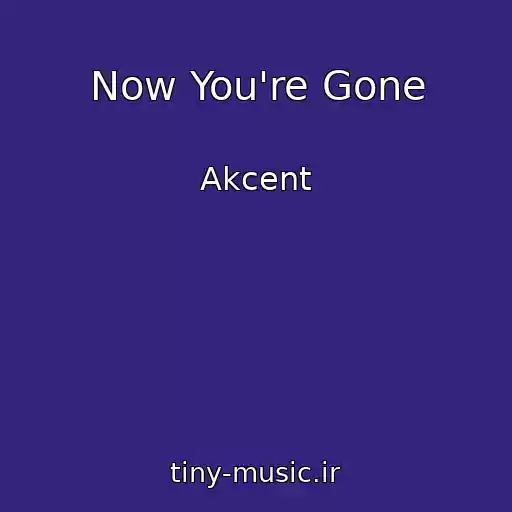 کاور آهنگ Now You're Gone از Akcent