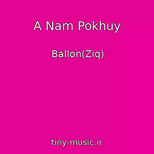 کاور آهنگ A Nam Pokhuy از Ballon(Ziq)