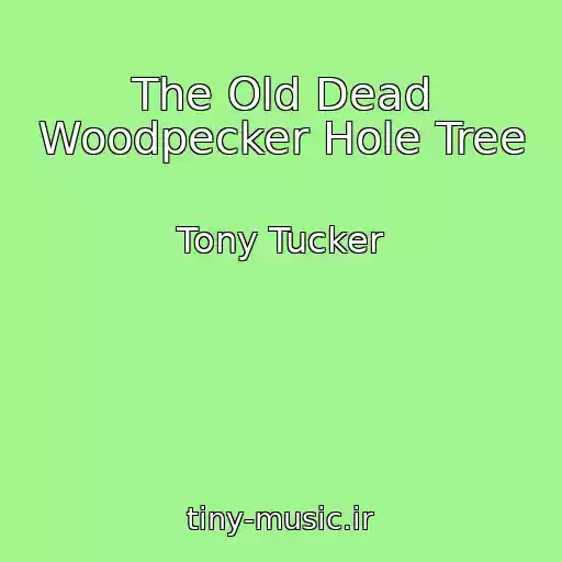 کاور آهنگ The Old Dead Woodpecker Hole Tree از Tony Tucker