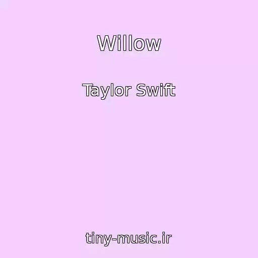 کاور آهنگ Willow از Taylor Swift