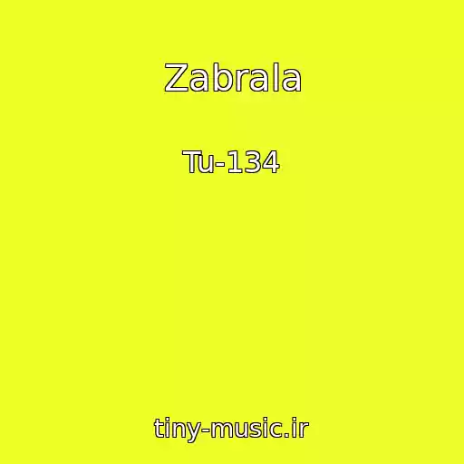 کاور آهنگ Zabrala از Tu-134
