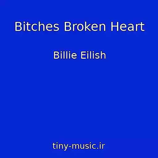 کاور آهنگ Bitches Broken Heart از Billie Eilish