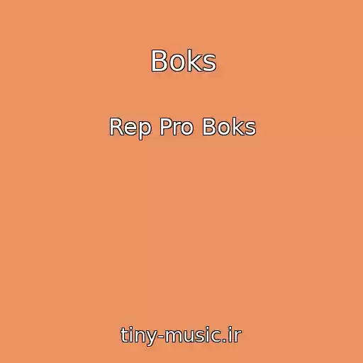 کاور آهنگ Boks از Rep Pro Boks