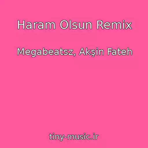 کاور آهنگ Haram Olsun Remix از Megabeatsz, Akşin Fateh