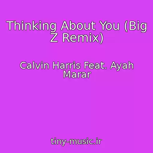 کاور آهنگ Thinking About You (Big Z Remix) از Calvin Harris Feat. Ayah Marar