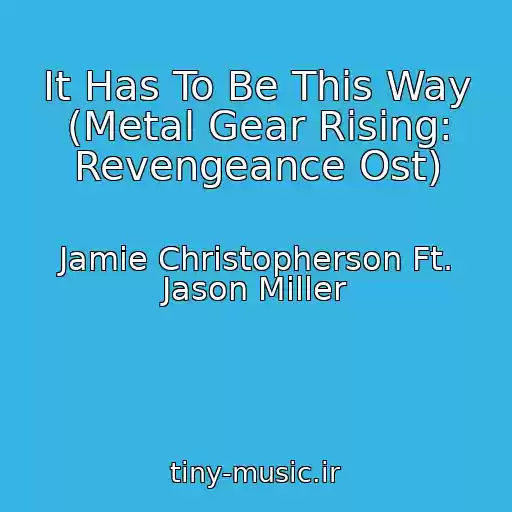 کاور آهنگ It Has To Be This Way (Metal Gear Rising: Revengeance Ost) از Jamie Christopherson Ft. Jason Miller