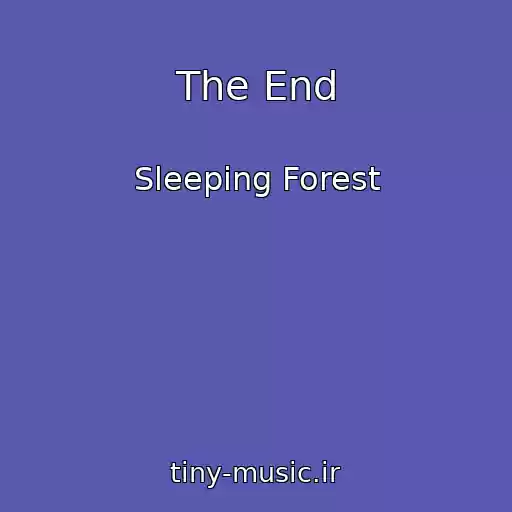 کاور آهنگ The End از Sleeping Forest
