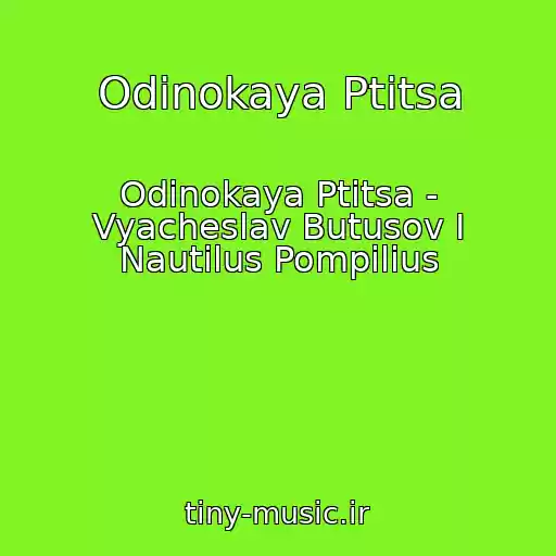 کاور آهنگ Odinokaya Ptitsa از Odinokaya Ptitsa - Vyacheslav Butusov I Nautilus Pompilius