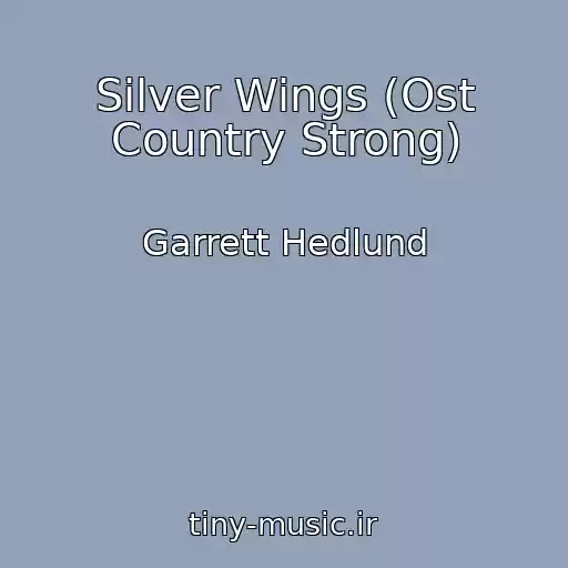 کاور آهنگ Silver Wings (Ost Country Strong) از Garrett Hedlund