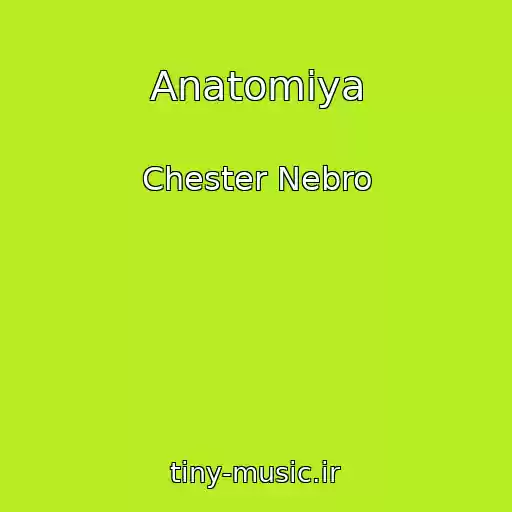 کاور آهنگ Anatomiya از Chester Nebro