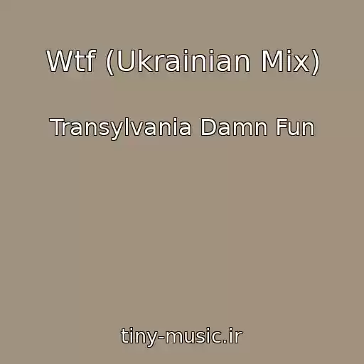 کاور آهنگ Wtf (Ukrainian Mix) از Transylvania Damn Fun