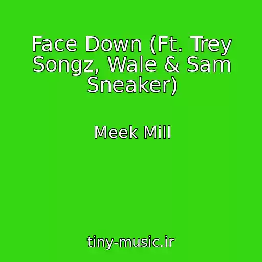 کاور آهنگ Face Down (Ft. Trey Songz, Wale & Sam Sneaker) از Meek Mill