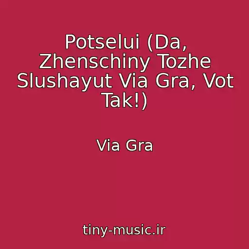 کاور آهنگ Potselui (Da, Zhenschiny Tozhe Slushayut Via Gra, Vot Tak!) از Via Gra