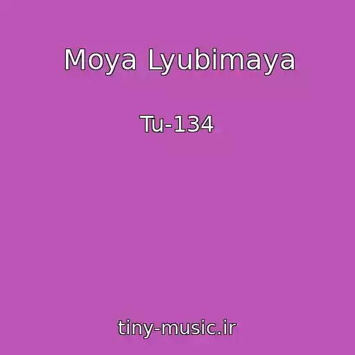 کاور آهنگ Moya Lyubimaya از Tu-134