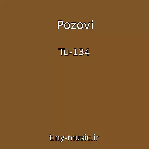کاور آهنگ Pozovi از Tu-134