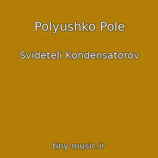 کاور آهنگ Polyushko Pole از Svideteli Kondensatorov