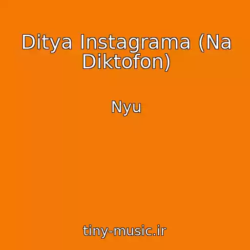 کاور آهنگ Ditya Instagrama (Na Diktofon) از Nyu