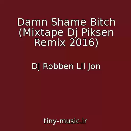 کاور آهنگ Damn Shame Bitch (Mixtape Dj Piksen Remix 2016) از Dj Robben Lil Jon