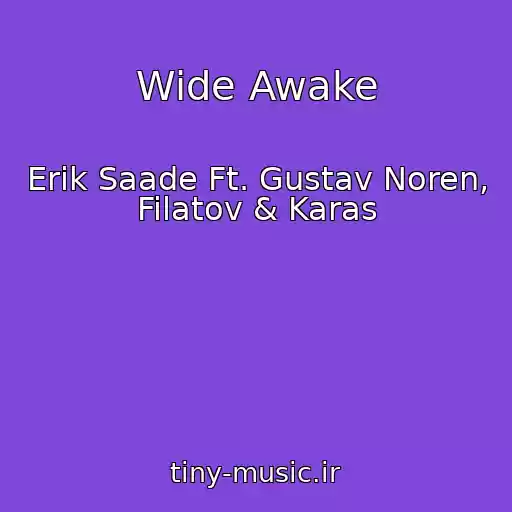 کاور آهنگ Wide Awake از Erik Saade Ft. Gustav Noren, Filatov & Karas
