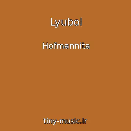 کاور آهنگ Lyubol از Hofmannita