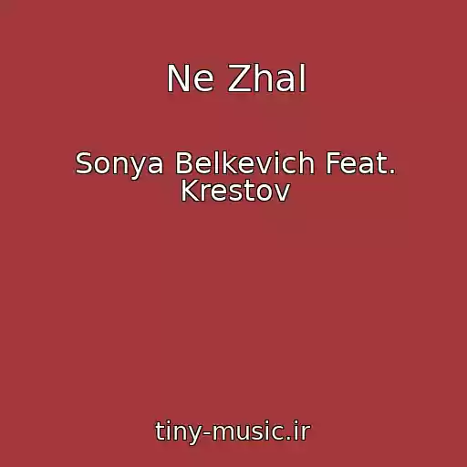 کاور آهنگ Ne Zhal از Sonya Belkevich Feat. Krestov