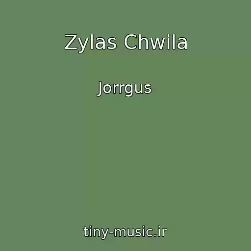 کاور آهنگ Zylas Chwila از Jorrgus
