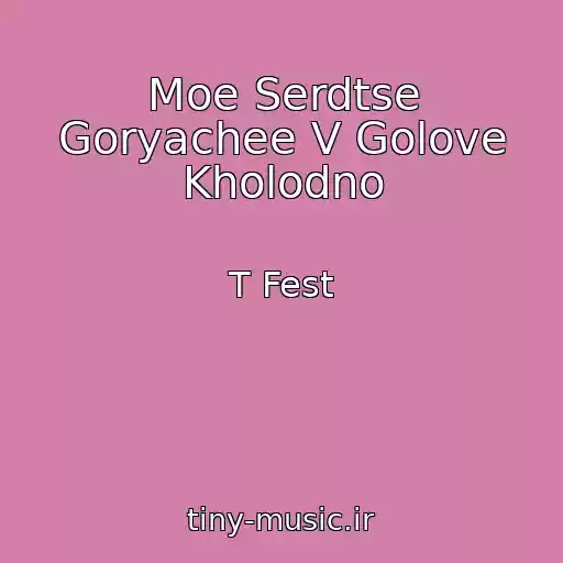 کاور آهنگ Moe Serdtse Goryachee V Golove Kholodno از T Fest