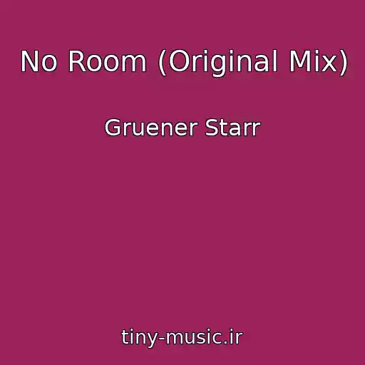 کاور آهنگ No Room (Original Mix) از Gruener Starr