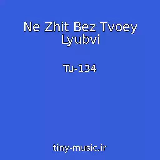 کاور آهنگ Ne Zhit Bez Tvoey Lyubvi از Tu-134
