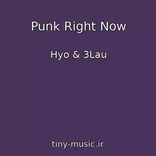 کاور آهنگ Punk Right Now از Hyo & 3Lau