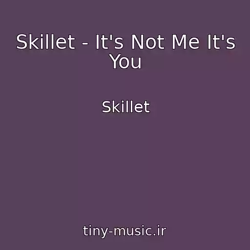 کاور آهنگ Skillet - It's Not Me It's You از Skillet