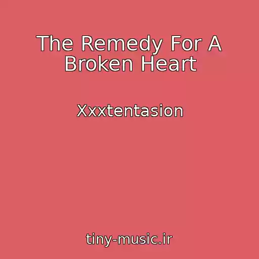 کاور آهنگ The Remedy For A Broken Heart از Xxxtentasion