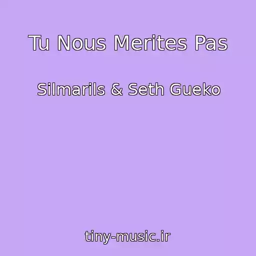 کاور آهنگ Tu Nous Merites Pas از Silmarils & Seth Gueko