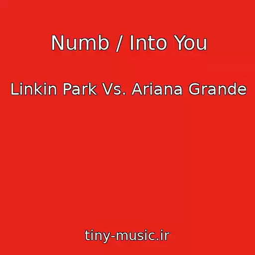 کاور آهنگ Numb / Into You از Linkin Park Vs. Ariana Grande