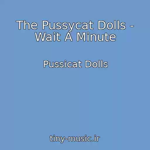 کاور آهنگ The Pussycat Dolls - Wait A Minute از Pussicat Dolls