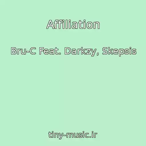 کاور آهنگ Affiliation از Bru-C Feat. Darkzy, Skepsis