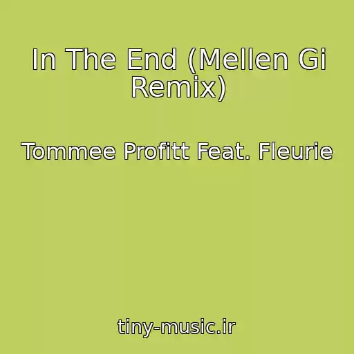 کاور آهنگ In The End (Mellen Gi Remix) از Tommee Profitt Feat. Fleurie