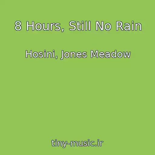 کاور آهنگ 8 Hours, Still No Rain از Hosini, Jones Meadow