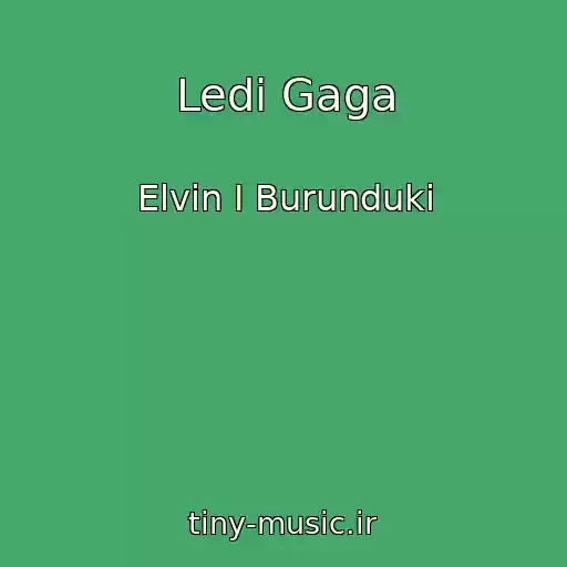 کاور آهنگ Ledі Gaga از Elvіn І Burunduki