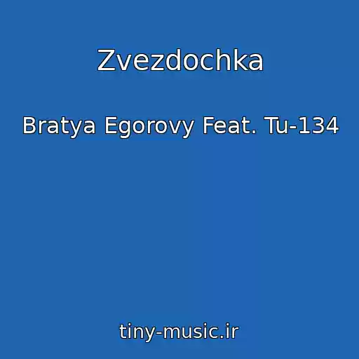 کاور آهنگ Zvezdochka از Bratya Egorovy Feat. Tu-134
