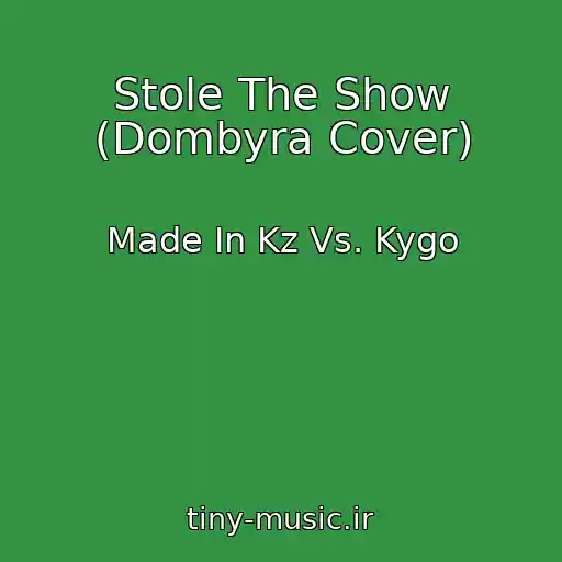 کاور آهنگ Stole The Show (Dombyra Cover) از Made In Kz Vs. Kygo