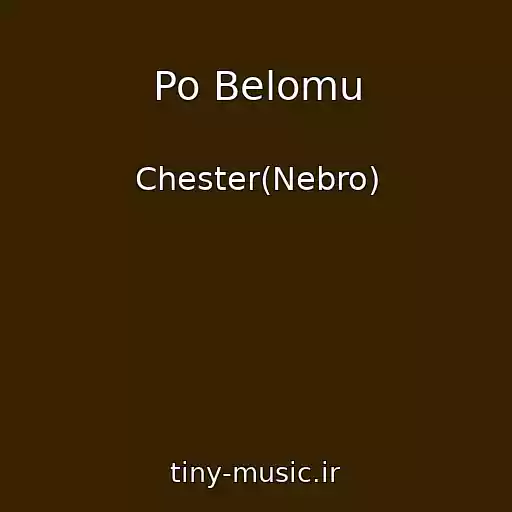 کاور آهنگ Po Belomu از Chester(Nebro)