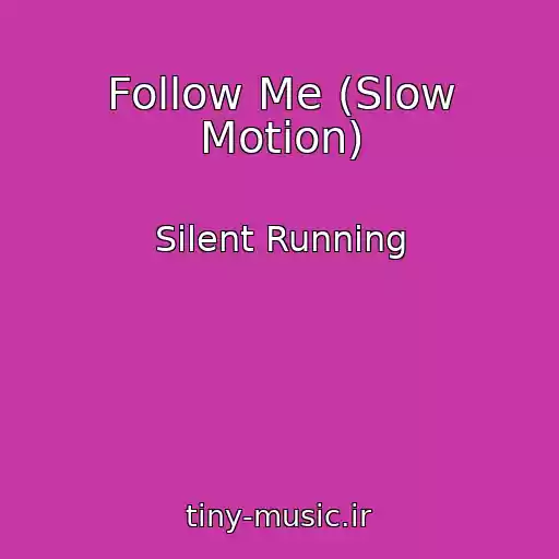 کاور آهنگ Follow Me (Slow Motion) از Silent Running