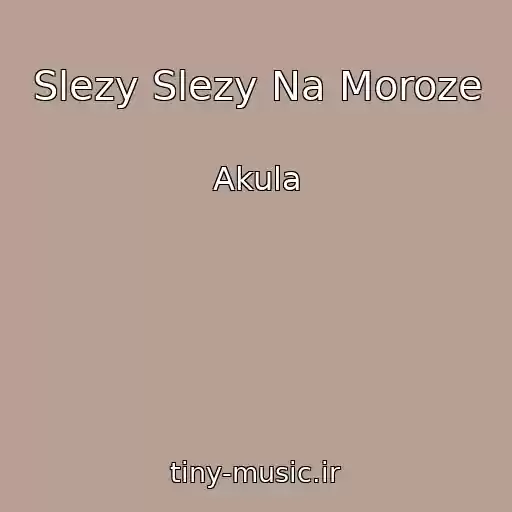 کاور آهنگ Slezy Slezy Na Moroze از Akula