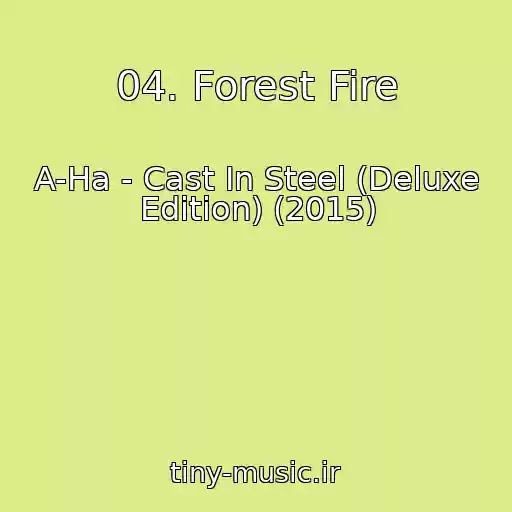 کاور آهنگ 04. Forest Fire از A-Ha - Cast In Steel (Deluxe Edition) (2015)