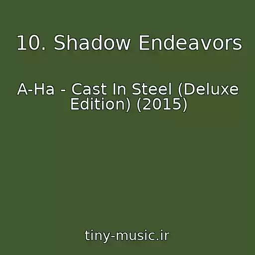 کاور آهنگ 10. Shadow Endeavors از A-Ha - Cast In Steel (Deluxe Edition) (2015)