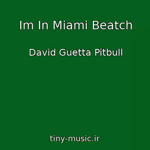 کاور آهنگ Im In Miami Beatch از David Guetta Pitbull
